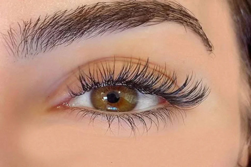 image-showing-Cat-Eye-Extensions