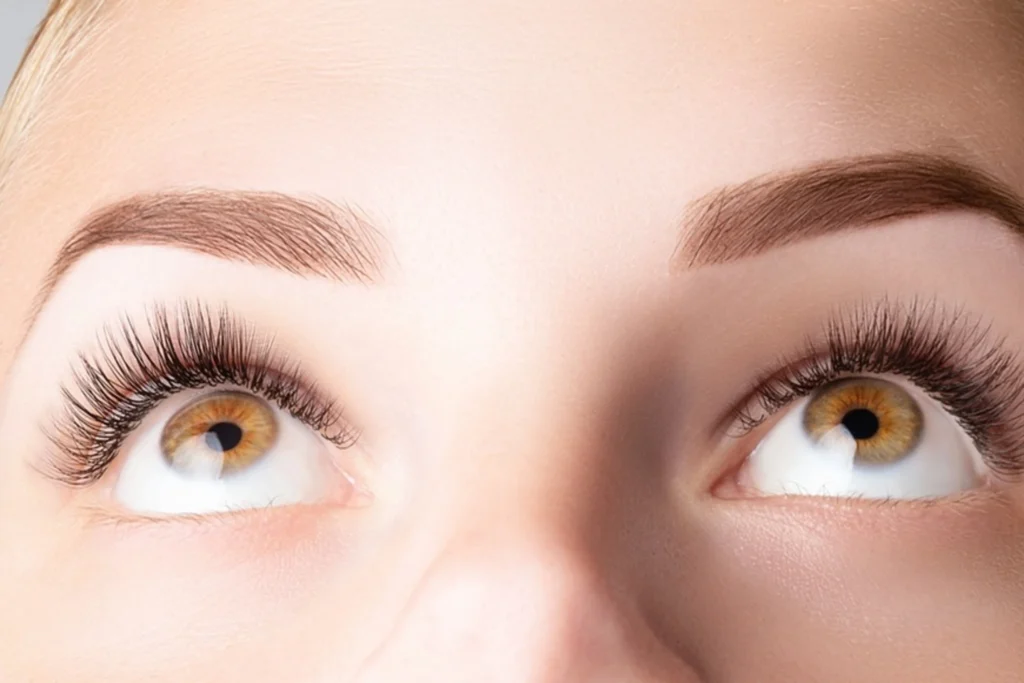 image-showing-Classic-Brow-Lamination